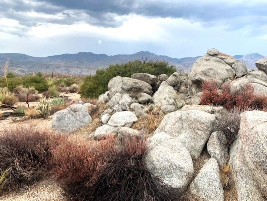 Gorgeous Views of the majestic Santa Rosa Mountain Range and the San Jacinto's from your 1 acre mostly flat parcel ~ Nature scape at it's best with beautiful native vegetation and a stunning rock outcropping at the very north edge of the parcel ~ Alpine Village is 25 minutes down the scenic Palms to Pines Highway to Palm Desert ~ 45 minutes up the scenic highway to the famous mountain community of Idyllwild ~ About an hour to Temecula's exquisite wine country ~ Approximately 2 hours to San Diego and Los Angeles ~ This area is famous for outdoor activities just right right out your "door," including hiking, mountain biking, horseback riding and many more outdoor activities to those with an adventuresome spirit ~ This parcel will need a well, septic system and power brought onto the property before you are able to reside ~ Buyer'/ Buyer's agent to do their own due diligence with the County of Riverside in order to determine what permit's are needed to build or bring on a manufactured home ~ One of the last great areas in So Cal to enjoy such a variety of wildlife, nature and spectacular night sky viewing ~ This a a wonderful spot on our great Earth to chose to build your dream home and reside ~ May need higher profile vehicle to access ~ Please follow Listing Agents directions, not GPS ~