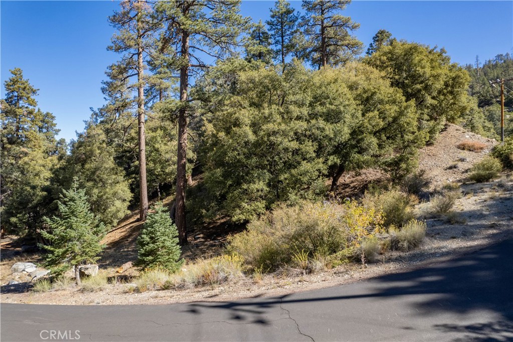 Photo 1 of 14 — 1216 Banff Drive, Pine Mountain Club, CA 93222