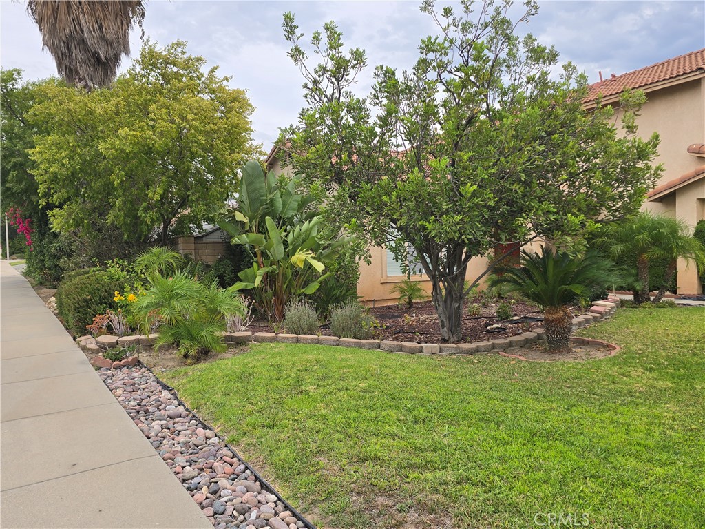 2768 W Buena Vista Drive