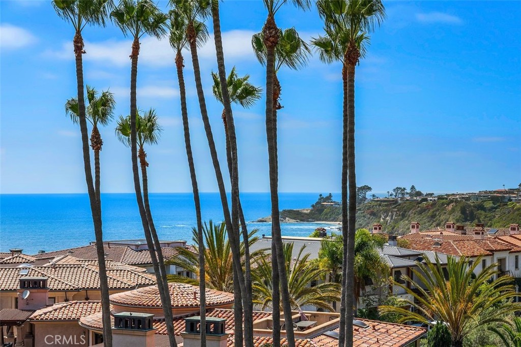 101 Ritz Cove Drive, Dana Point CA 92629 - Photo 35