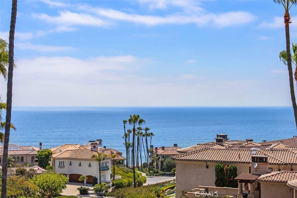 101 Ritz Cove Drive, Dana Point CA 92629 - Photo 30