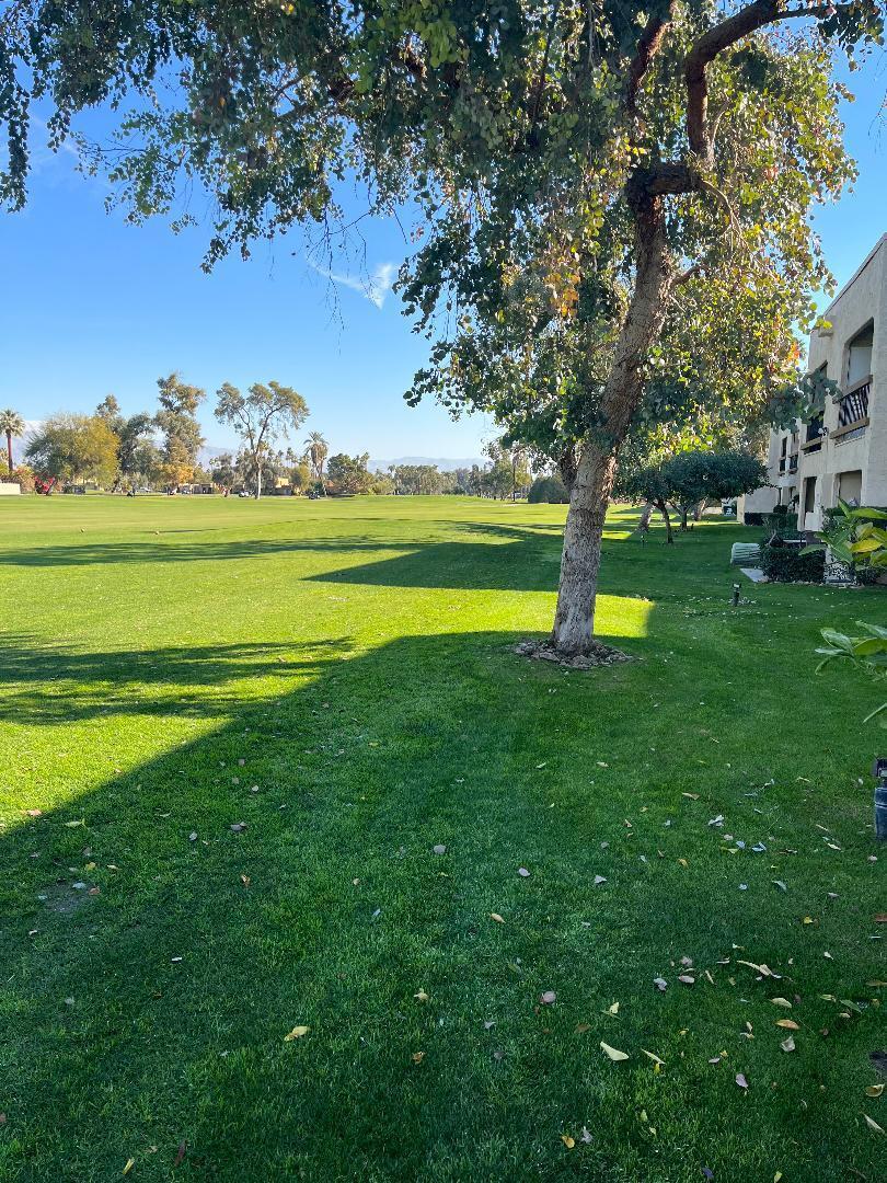 Palm Springs Golf & - Residential Lease