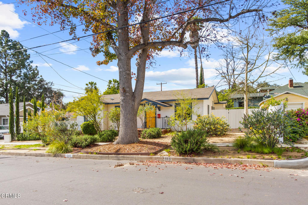 585 Palo Verde Avenue