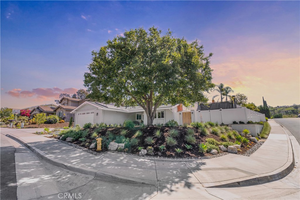 27022 Mallorca Lane
