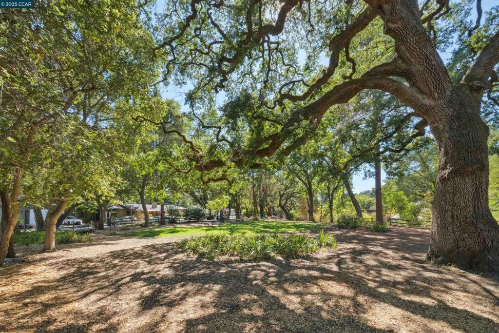 DOWNTOWN LAF - Residential