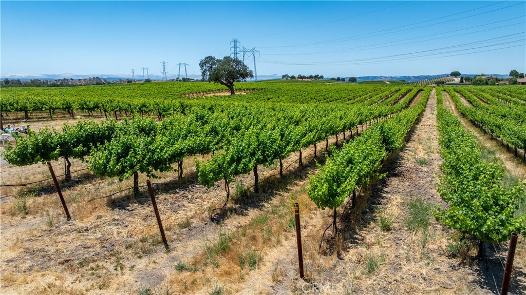 Welcome to an exceptional opportunity in the heart of Paso Robles wine country. This stunning 84.76 +/- acre estate features approximately 68.18 acres of professionally planted vineyard, showcasing premium varietals including Sauvignon Blanc, Grenache, Viognier, Petite Sirah, Zinfandel, and Roussanne. The gently rolling landscape offers a picturesque setting and optimal growing conditions, making it ideal for boutique or commercial wine production.
Located at the entrance of the property sits the well-maintained 3-bedroom, 2.5-bathroom main residence with 1,506 +/- sf of comfortable living space, an attached 2-car garage, and inviting outdoor areas that overlook the vineyard. A second residence—a manufactured home—offers added flexibility for guests, staff housing, or rental income.
One of the most unique features is a scenic hilltop crowned with a majestic oak tree, offering breathtaking panoramic views of the rolling, vineyard and oak graced hills that Paso Robles Wine Country is known for.
This property benefits from a strong agricultural infrastructure, including a reliable irrigation well and favorable Williamson Act status, providing significant tax advantages. Whether you’re an experienced vintner, investor, or someone dreaming of a wine country lifestyle, 4950 Union Road is a rare and versatile offering in one of California’s most sought-after wine countries!