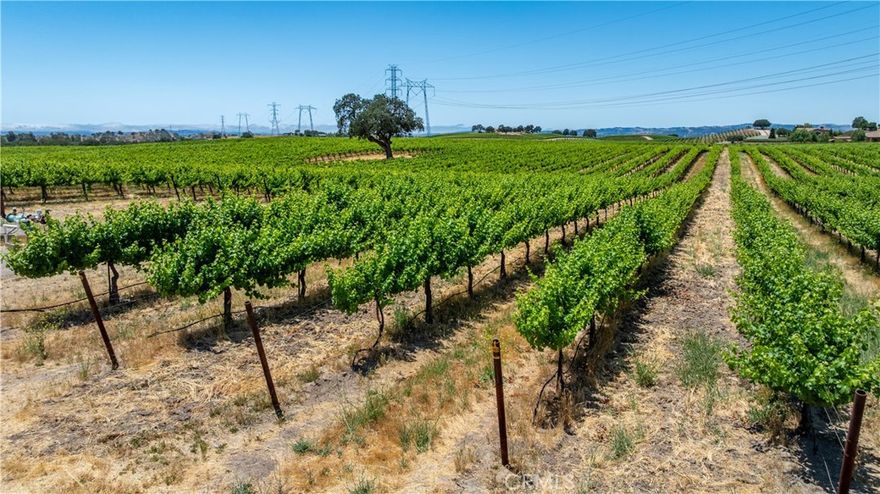 Welcome to an exceptional opportunity in the heart of Paso Robles wine country. This stunning 84.76 +/- acre estate features approximately 68.18 acres of professionally planted vineyard, showcasing premium varietals including Sauvignon Blanc, Grenache, Viognier, Petite Sirah, Zinfandel, and Roussanne. The gently rolling landscape offers a picturesque setting and optimal growing conditions, making it ideal for boutique or commercial wine production.



Located at the entrance of the property sits the well-maintained 3-bedroom, 2.5-bathroom main residence with 1,506 +/- sf of comfortable living space, an attached 2-car garage, and inviting outdoor areas that overlook the vineyard. A second residence—a manufactured home—offers added flexibility for guests, staff housing, or rental income.



One of the most unique features is a scenic hilltop crowned with a majestic oak tree, offering breathtaking panoramic views of the rolling, vineyard and oak graced hills that Paso Robles Wine Country is known for.



This property benefits from a strong agricultural infrastructure, including a reliable irrigation well and favorable Williamson Act status, providing significant tax advantages. Whether you’re an experienced vintner, investor, or someone dreaming of a wine country lifestyle, 4950 Union Road is a rare and versatile offering in one of California’s most sought-after wine countries!