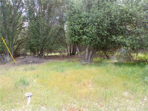 Photo of 17472 Cache Creek Rd, Clearlake Oaks, CA 95423 (MLS # LC26078158)