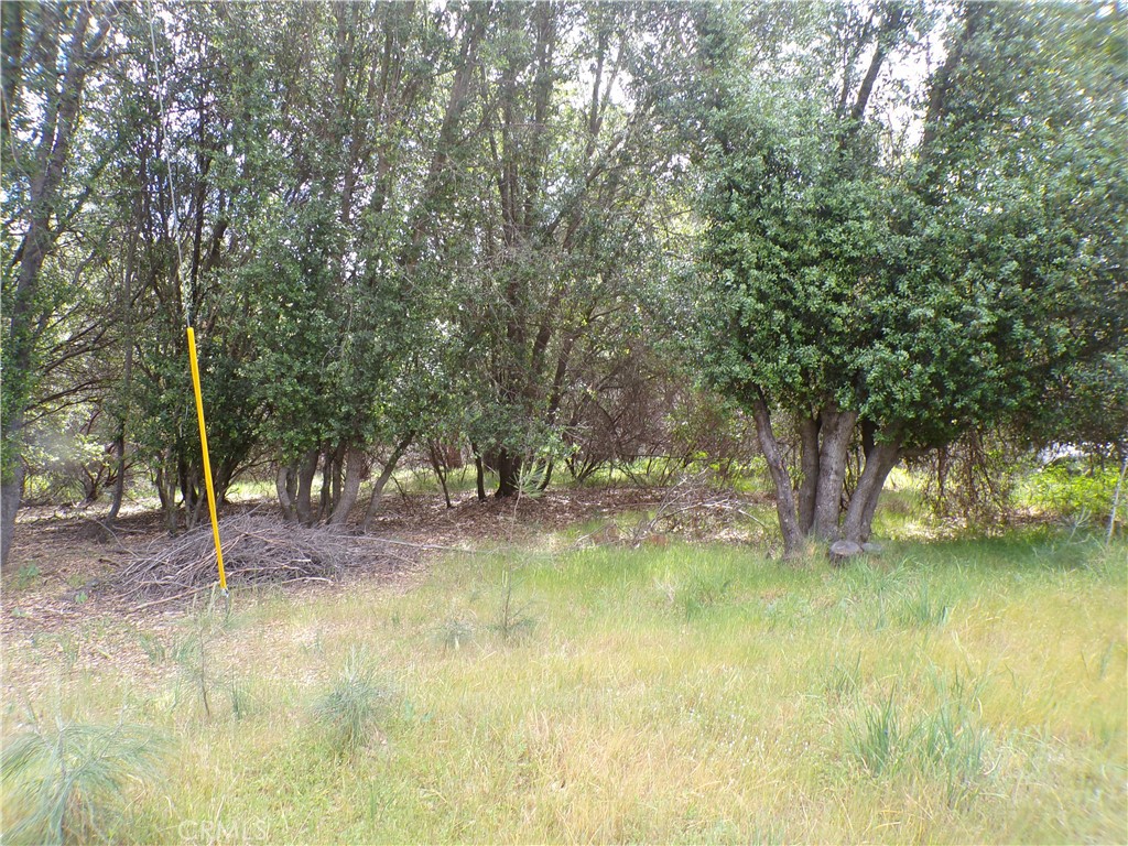 17472 Cache Creek