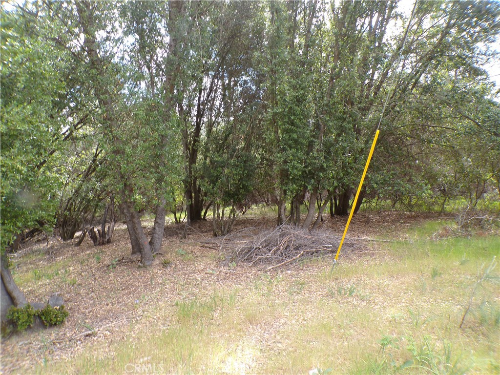 17472 Cache Creek