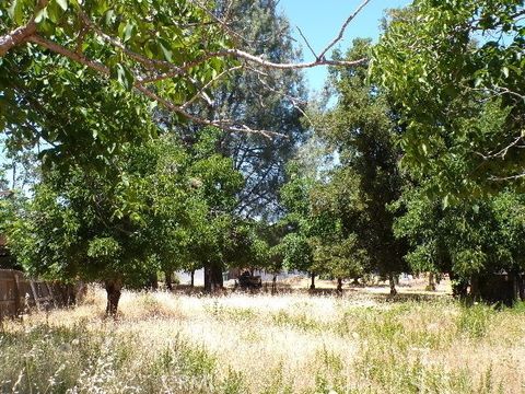 3225 Marina View Drive Kelseyville CA 95451