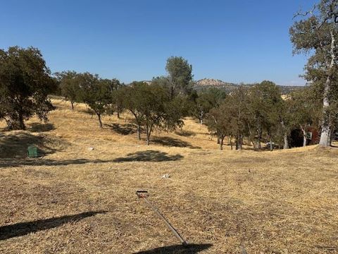 4227 Council Trail Copperopolis CA 95228