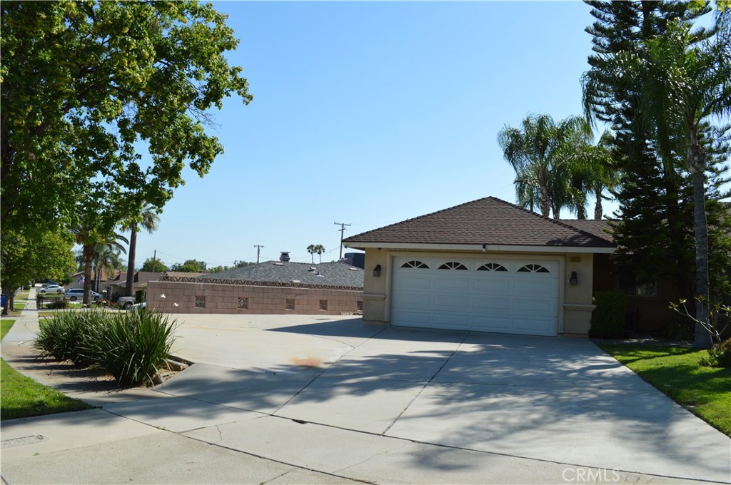 3954 Garden