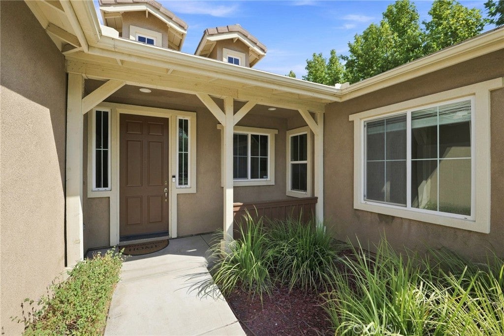 30580 Fox Sedge