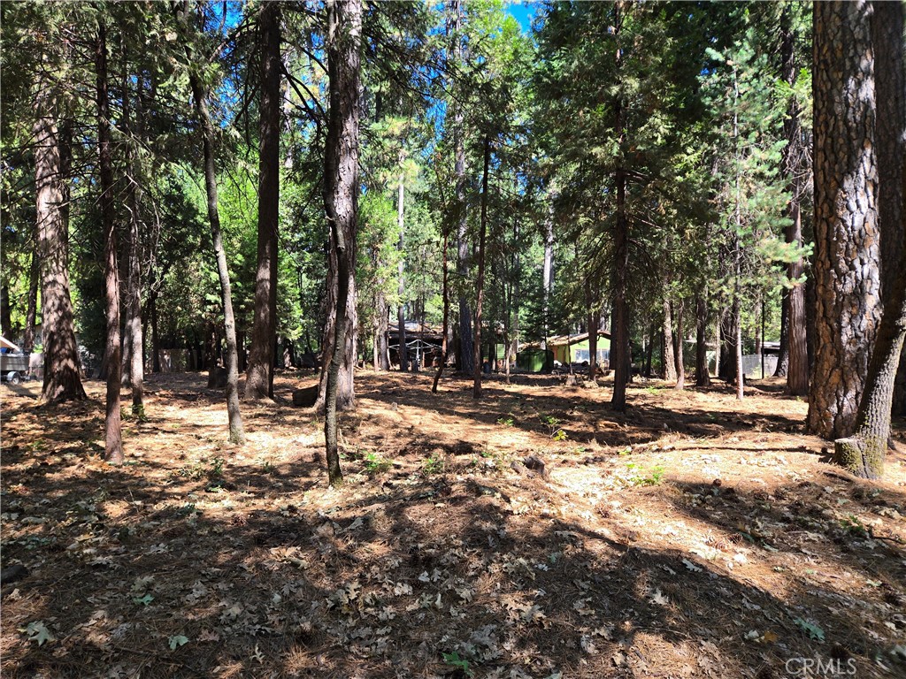 Nestled in the trees with homes nearby, this 0.5-acre lot offers the perfect opportunity to build something special. The property features a natural setting with mature trees, a beautiful backdrop, for your future home. Power and water are located near the street (buyer to verify). Conveniently located in an established neighborhood, you can enjoy the peaceful surroundings while still being close to amenities. A great investment for those looking to build a permanent residence, vacation retreat, or future rental. Buyer to verify all information to their satisfaction.