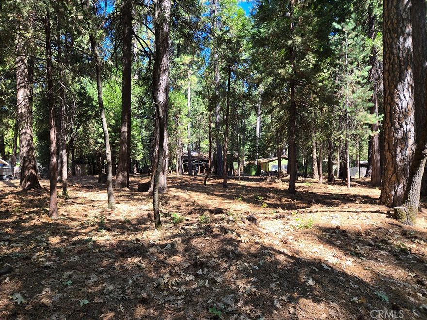 Nestled in the trees with homes nearby, this 0.5-acre lot offers the perfect opportunity to build something special. The property features a natural setting with mature trees, a beautiful backdrop, for your future home. Power and water are located near the street (buyer to verify). Conveniently located in an established neighborhood, you can enjoy the peaceful surroundings while still being close to amenities. A great investment for those looking to build a permanent residence, vacation retreat, or future rental. Buyer to verify all information to their satisfaction.