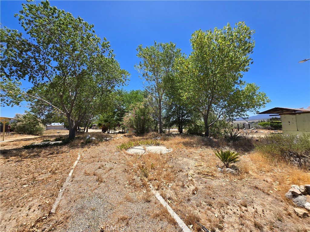 38800 Bahrman Road