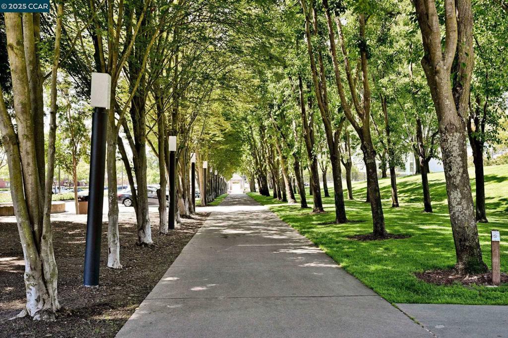 COUNTRY VIEW - Residential