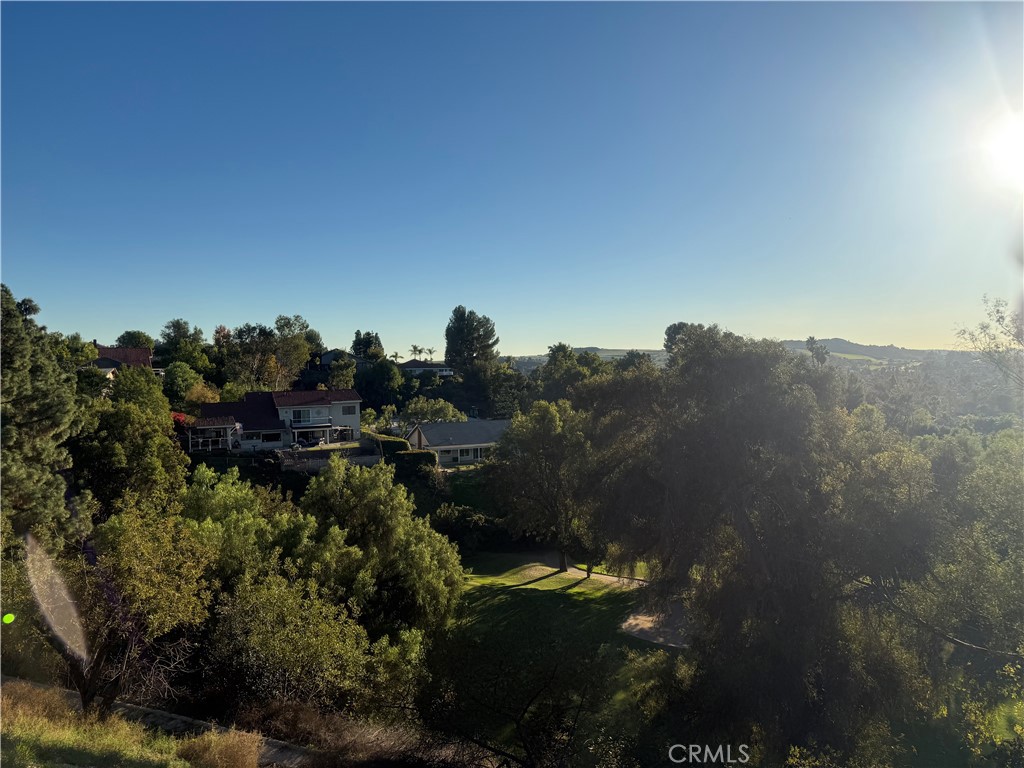 1633 Calle De Armonia