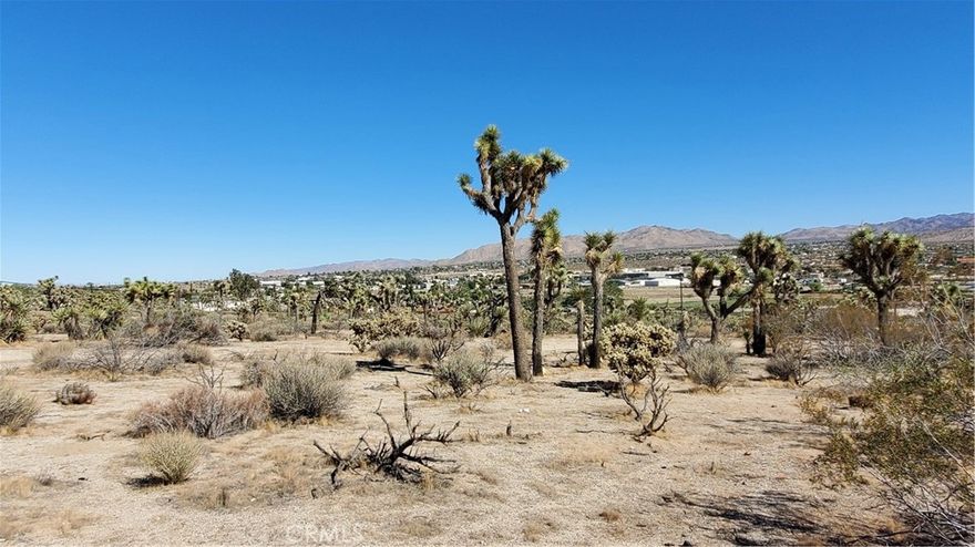 This land parcel is in close proximity to all Yucca Valley has to offer. But its location is very secluded with its lack of neighbors. The parcel does have some Yuccas and Joshua trees but looks to have enough space to build with little issues to the native floral. Go take a look and see if it suits you. Let me know if you have any questions.