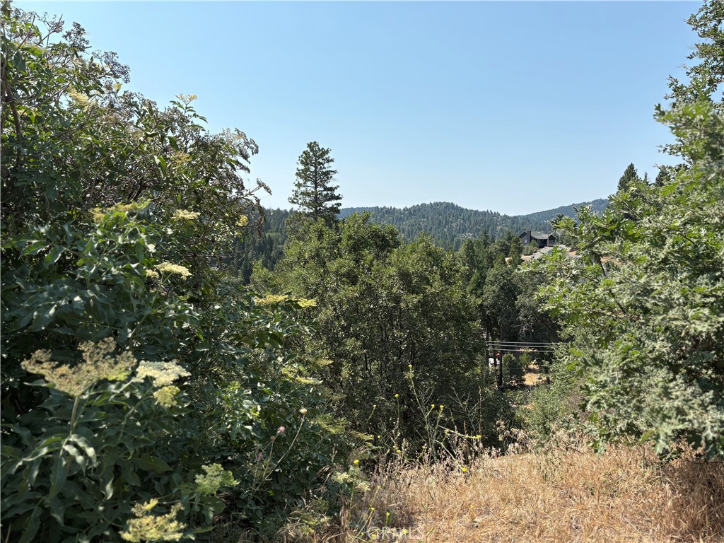 Arrowhead Woods (AWHW) - Land