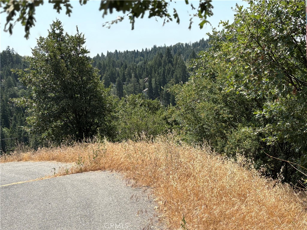Arrowhead Woods (AWHW) - Land