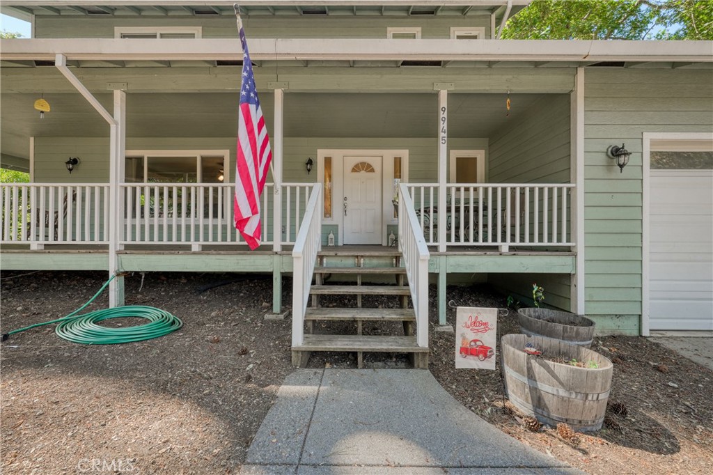 9945 Meadow