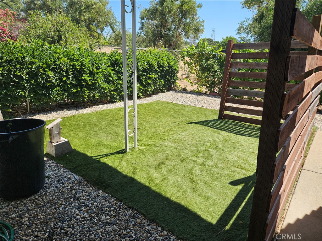 143 Birch