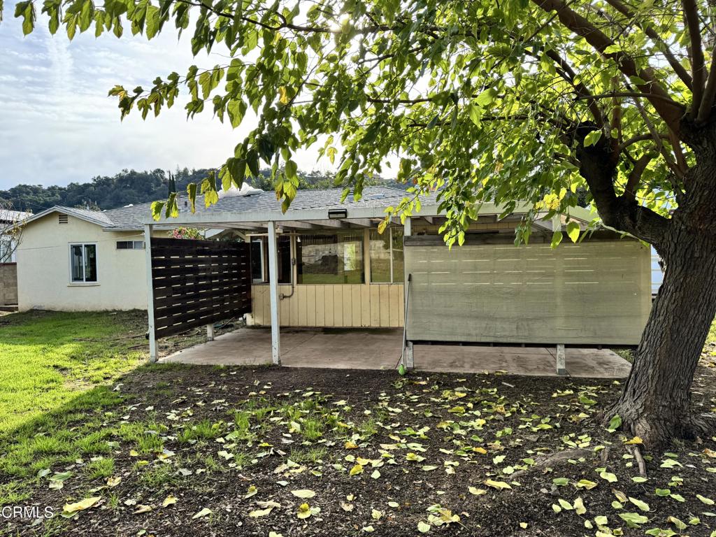 11 Calle Cinco De Mayo