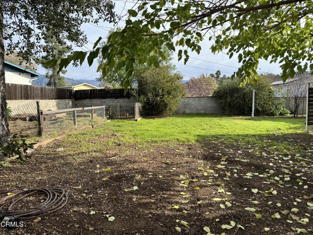 11 Calle Cinco De Mayo