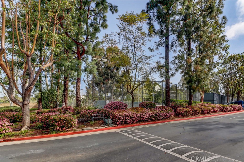 Pheasant Creek (PC) - Residential Lease