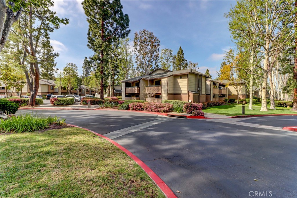 Pheasant Creek (PC) - Residential Lease