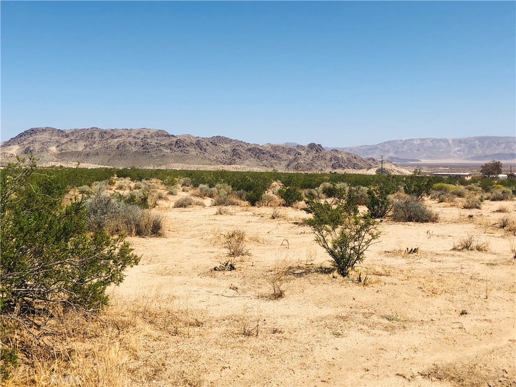 Fantastic views from this 2.5 acre lot. Bordered by government land on 2 sides. Power close by. Possible access through government land. Popular off-road area with endless trails to explore. Not far from the King of the Hammers. Owner May Carry. APN 0635-091-22-0000 GPS: (34.3292920, -116.4497308)