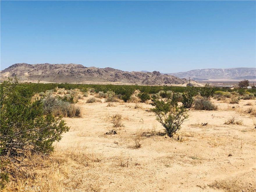 Fantastic views from this 2.5 acre lot. Bordered by government land on 2 sides. Power close by. Possible access through government land. Popular off-road area with endless trails to explore. Not far from the King of the Hammers. Owner May Carry. APN 0635-091-22-0000 GPS: (34.3292920, -116.4497308)