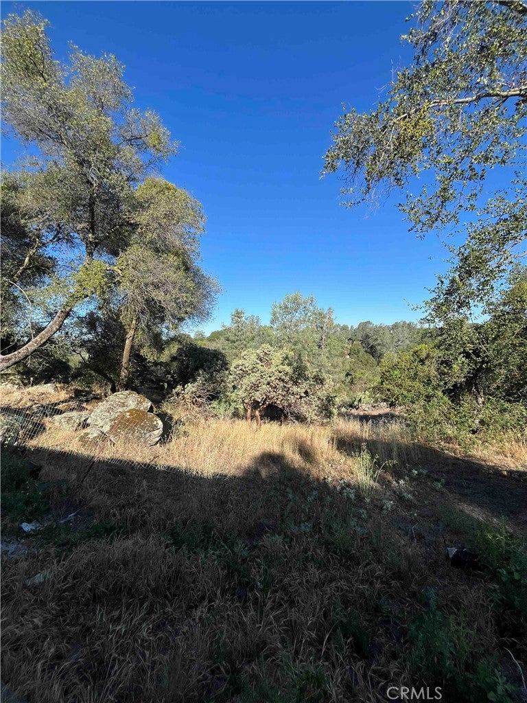 45990 Hawk Lane
