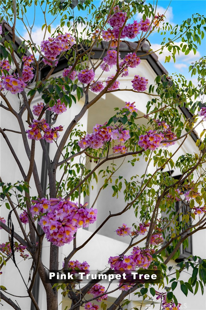 21026 E Cypress Street