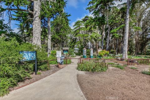 Tiny photo for 1223 7th St, Los Osos, CA 93402 (MLS # SC26033665)