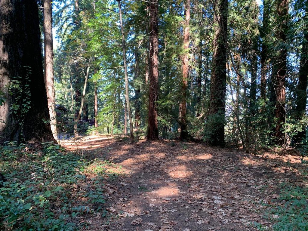 Flat buildable land in Los Gatos!!! Don't miss this fabulous opportunity to build your dream home just 15 minutes from downtown LG with top-rated Los Gatos schools! Nestled amongst beautiful redwood trees, with public water and electric at the street, this lower Redwood Estates property is the perfect place for someone looking to build their dream home in the mountains but stay within touching distance of all things Silicon Valley. The Redwood Estates Community includes parks & playgrounds, community pool, post office, market and Nonno's Restaurant. Can be combined with the adjacent lot at 01 Santa Ana Road, then you will have over half an acre of flat buildable land!