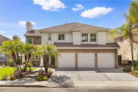 22241 Birchleaf Mission Viejo CA 92692