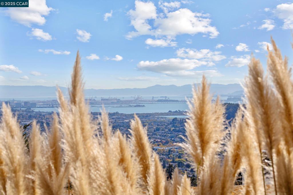 ARLINGTON ESTATE - Residential