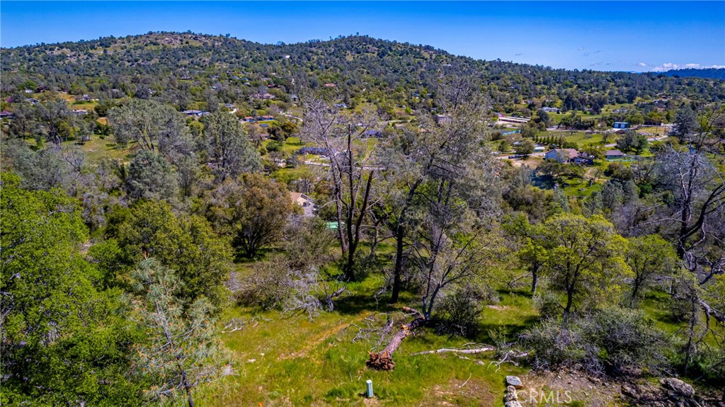 MOTIVATED seller! Bring all offers -Prime Location - 4.73 Acres! Don't miss this incredible opportunity to own 4.73 acres in a prime location! Situated near the Clubhouse and just off Yosemite Springs Parkway, this property offers an easy commute to Highway 41 while still providing the tranquility of mountain living. Property Highlights: Gently sloped terrain - ideal for building your dream home, or a weekend getaway Scenic views - enjoy the beauty of the Sierra foothills Community feel - experience the best of both worlds: peaceful rural living with nearby amenities Convenient access - just minutes from shopping, dining, and outdoor recreation Escape the hustle and bustle while staying close to everything you need! Whether you're looking to build, invest, or enjoy open space, this property is a must-see. Call or text for more details or to schedule a viewing!