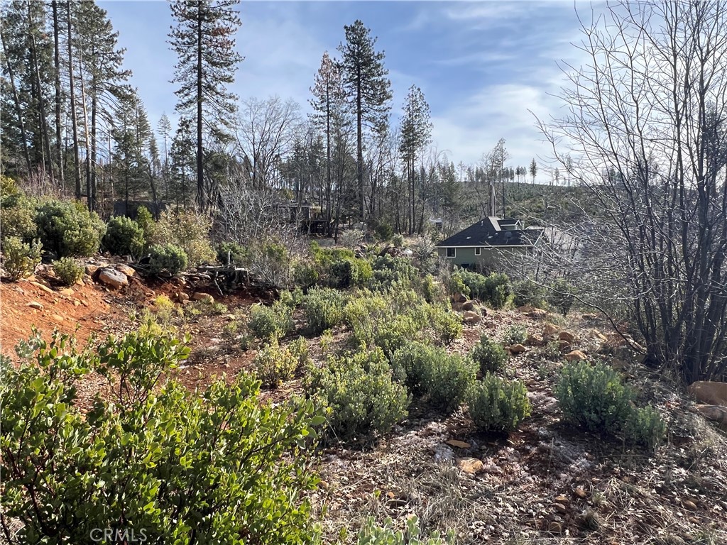 CORNER LOT WITH IMPROVEMENTS of septic (worth $15,000), water connection (worth $6,500) and credit for school district fees (worth $7,800), for big savings - the lot is virtually free! Real close to the Boggs State Forest for hiking or walking the dog. Quiet mountain environment where you can experience the four seasons and enjoy a life close to nature. Adjacent lot is also available for a larger piece of land, or a second home.