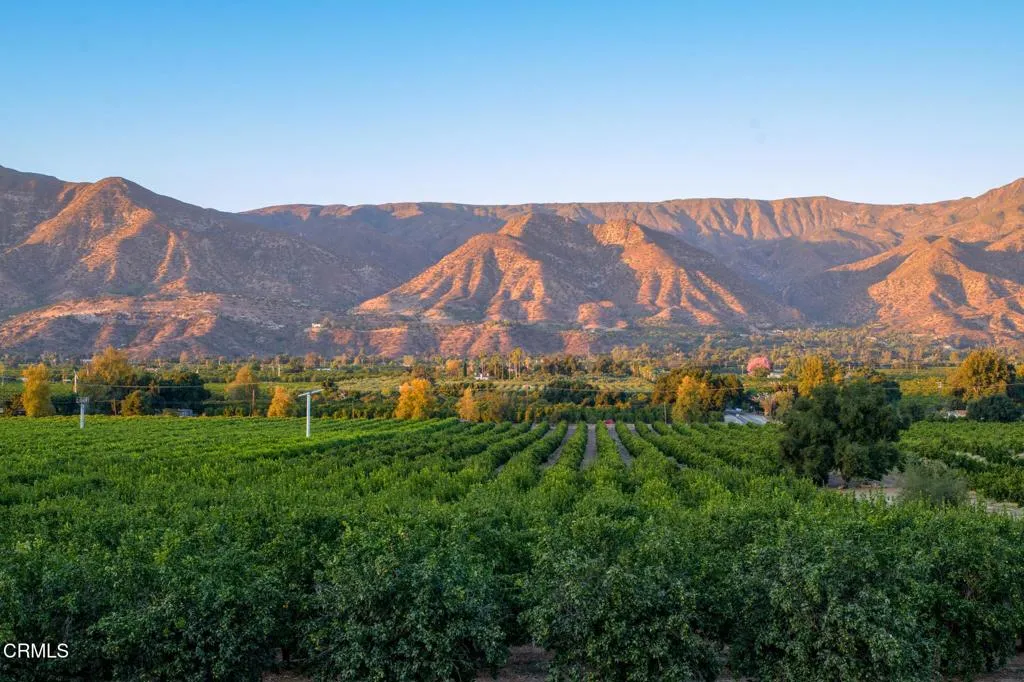 Ojai, California 93023, United States, 4 Bedrooms Bedrooms, ,4 BathroomsBathrooms,Residential,Active,169641