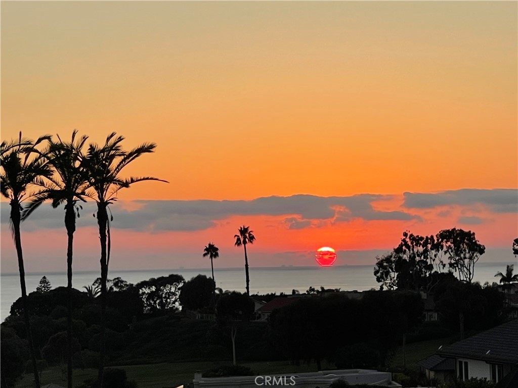 This classic single-story home is perfectly situated on a favorite single loaded street in just the right position to capture wonderful views of the Pacific Ocean, amazing Catalina sunsets and sparkling city lights sprinkled on the hills at night. Watch whale spouts, sailboats, tall ships, cruise ships, the moon's loom shinning across the water and winter storms moving in off the Pacific from the entire back of the house and backyard. This is the first time on the market for this custom home built home on a mostly flat lot with nice street frontage. There is room for outdoor living in the back of the home with a patio and grassy lawn looking out over colorful flower beds to the ocean. A magical large colorful courtyard is a breathtaking welcome as one enters the front gates. This area can be enjoyed throughout the home through many leaded glass windows and sliding doors which open to this charming outdoor space. A well designed floor plan highlights a magnificent first impression upon entering a spacious great room with vaulted ceilings and an abundance of large windows capturing wonderful ocean views. The family room/kitchen and dining room also enjoy ocean views and patio access. There are 4 bedrooms and 3 bathrooms, with one of the bedrooms in a separate wing being used as an office with office built-ins in the closet area. The spacious ocean view primary suite with walk-in closet and private bath lies at the back of the other wing with the 2 additional spacious bedrooms and bathroom located down the hall which overlooks the courtyard. The garage is a generous 2.5 car size ready for toys and hobbies. This home is ready for move in and is also a perfect choice those who may want to create the home of their own favorite style, whether it be coastal farmhouse, rich Santa Barbara, traditional, transitional, mid-century modern, contemporary or design of your choice. Put your own design stamp here and enjoy the ultimate home of your dreams for years to come. Monarch Bay Terrace is a beautiful Monarch Beach ocean view community of primarily custom single story homes located just minutes from the beautiful Dana Point Harbor, vibrant downtown Dana Point, offering trendy restaurants and shops, and spectacular Doheny, Strands, Salt Creek, and Laguna Beach beaches. The Ritz Carlton, Waldorf Astoria and Montage world class hotels are just minutes away. Your new "Vacation Everyday" lifestyle awaits!