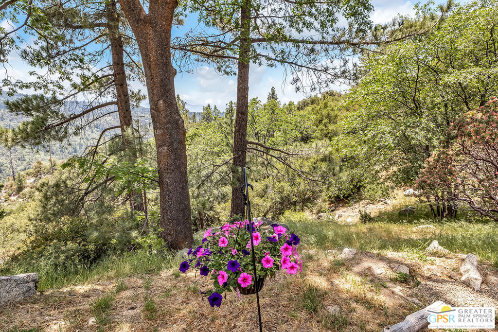 Alandale - Residential