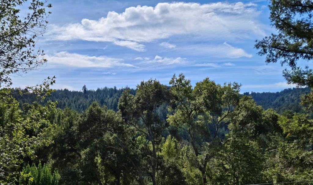 21386 Sunnyside Road