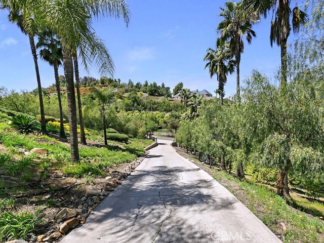 26135 Calle Corveta