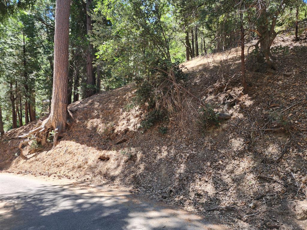 Not Applicable-1 - Land