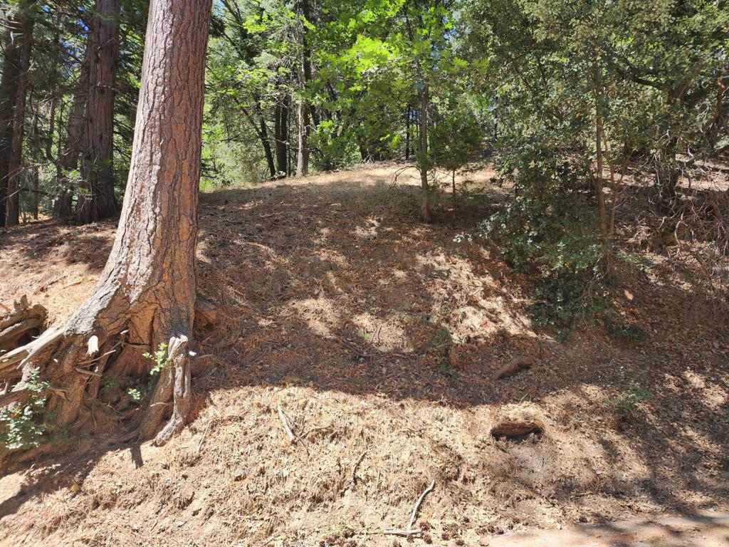 Not Applicable-1 - Land