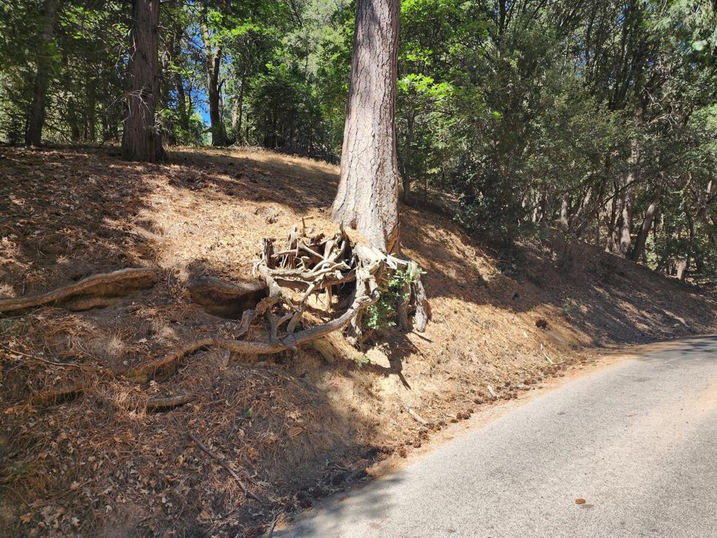 Not Applicable-1 - Land